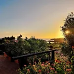 Pet-friendly In Sardinia 아파트