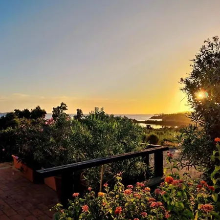Pet-friendly In Sardinia Lägenhet