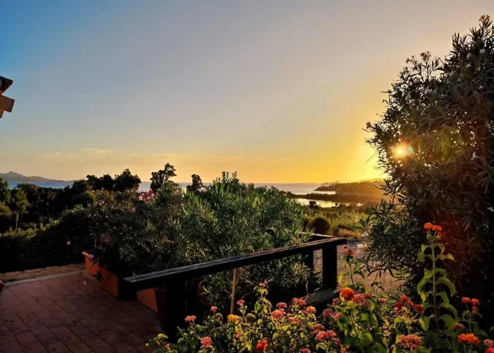 Pet-friendly In Sardinia Apartment